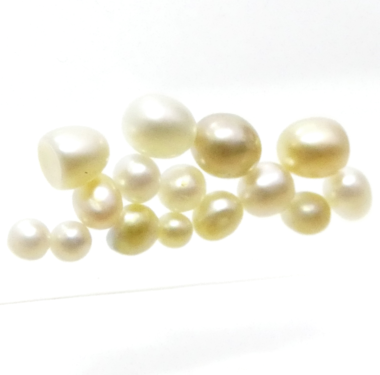 Teeny Tiny White/Champagne South Sea Keishi Pearls